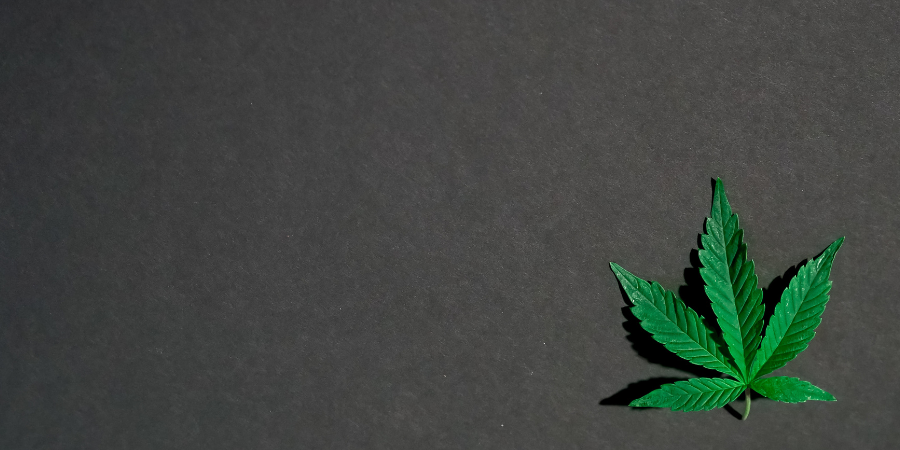 cannabis-rehab-cannabis-leaf