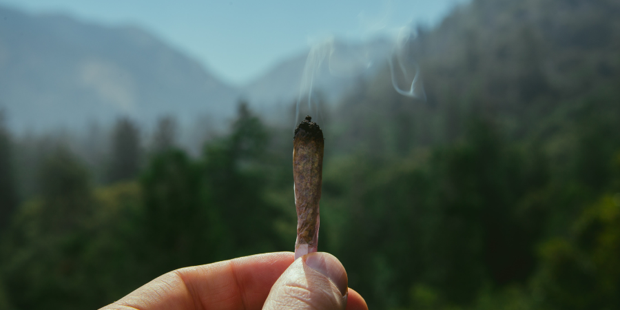 What are the signs that someone is high on marijuana? - Rehab Guide Clinics