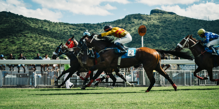 The Drop: How the Most Addictive Sport Can Help Us Understand Addiction and Recovery